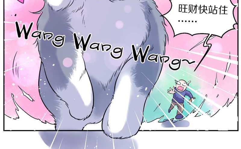 毛球星传说 第84集(1/2)-第84话