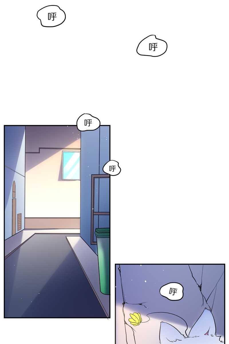 毛球星传说 第84集(1/2)-第84话