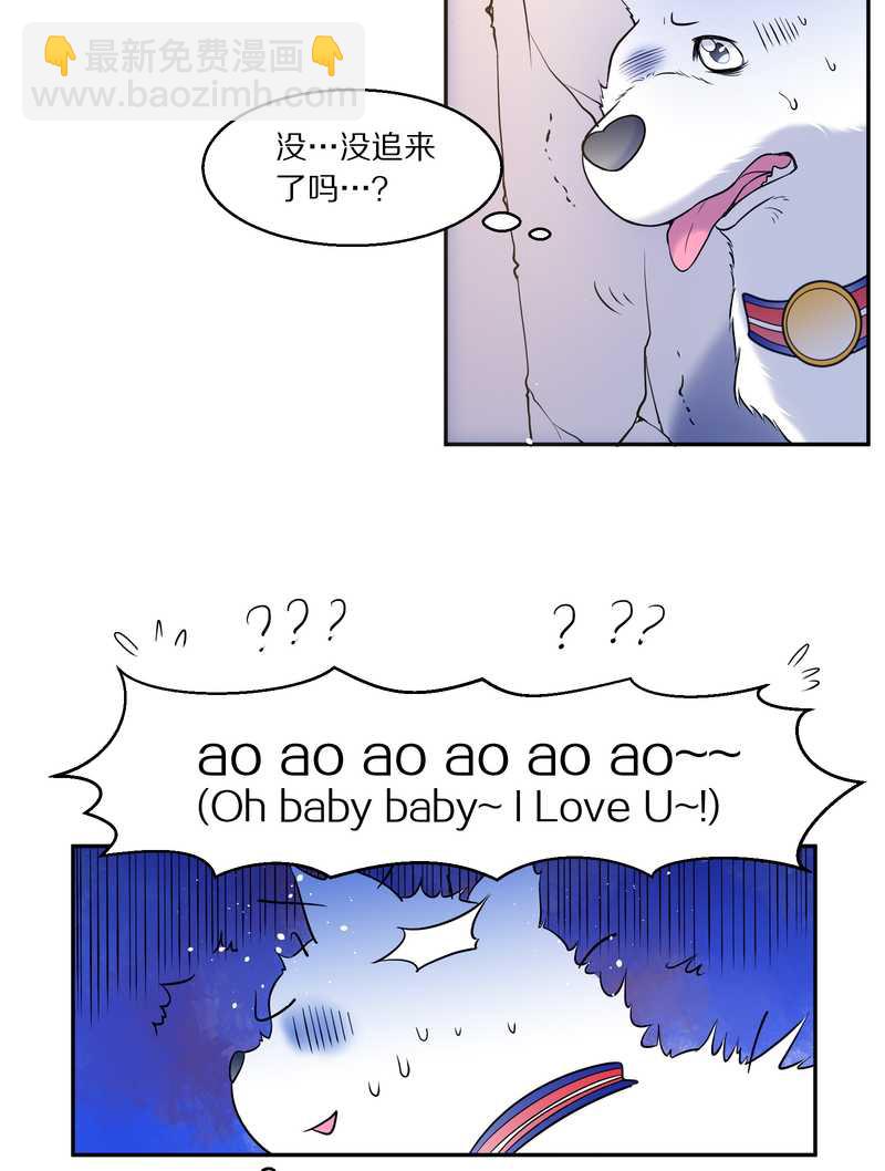 毛球星传说 第84集(1/2)-第84话