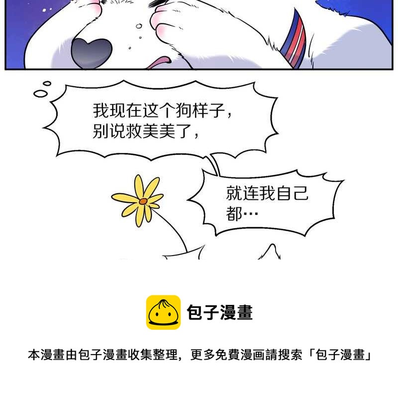 毛球星传说 第84集(1/2)-第84话