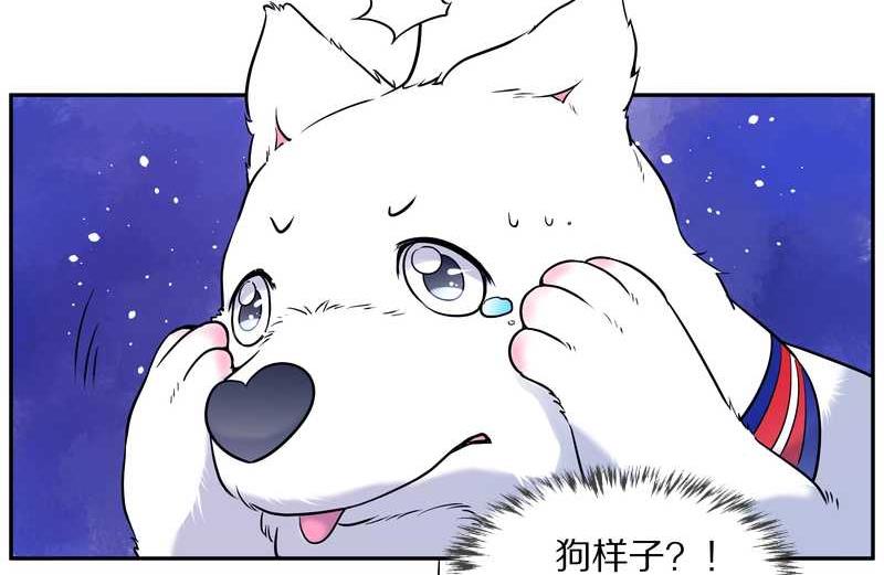 毛球星传说 第84集(1/2)-第84话