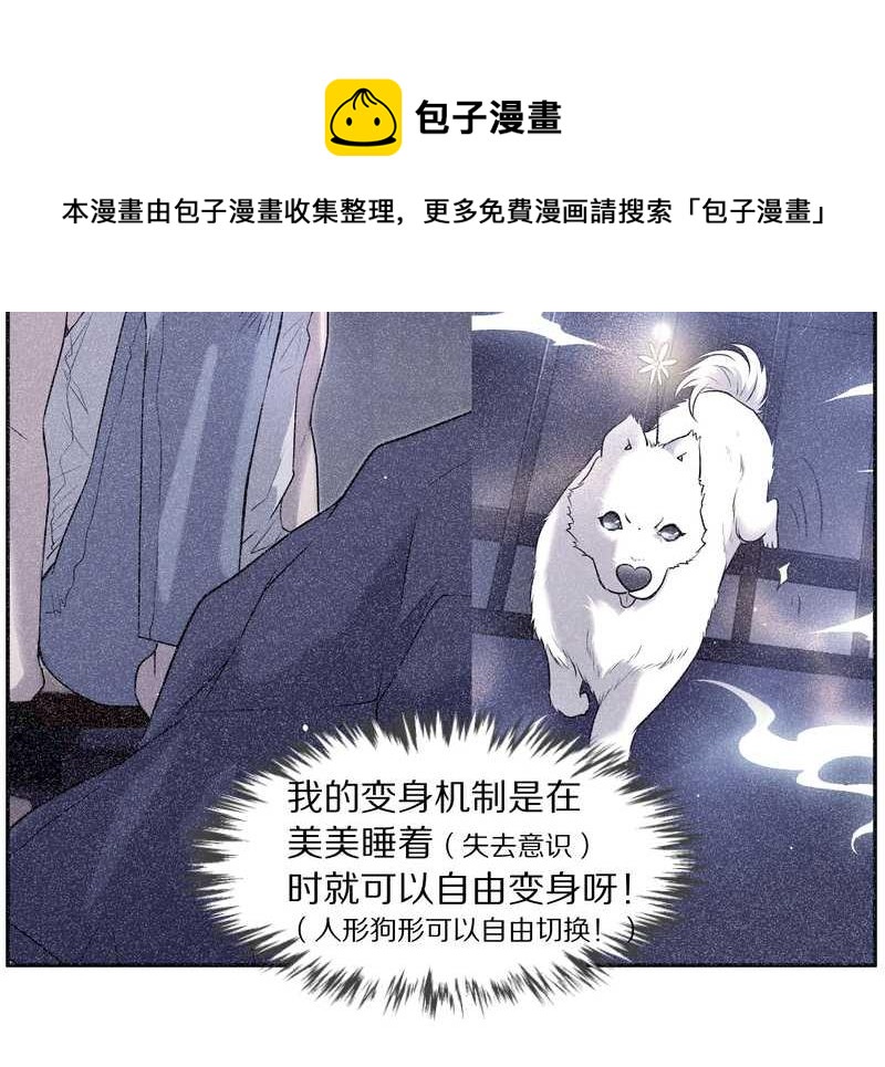 毛球星传说 第84集(1/2)-第84话