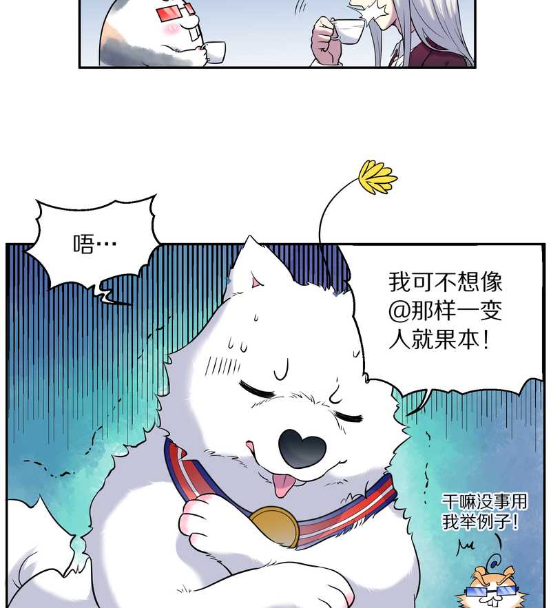 毛球星传说 第84集(1/2)-第84话