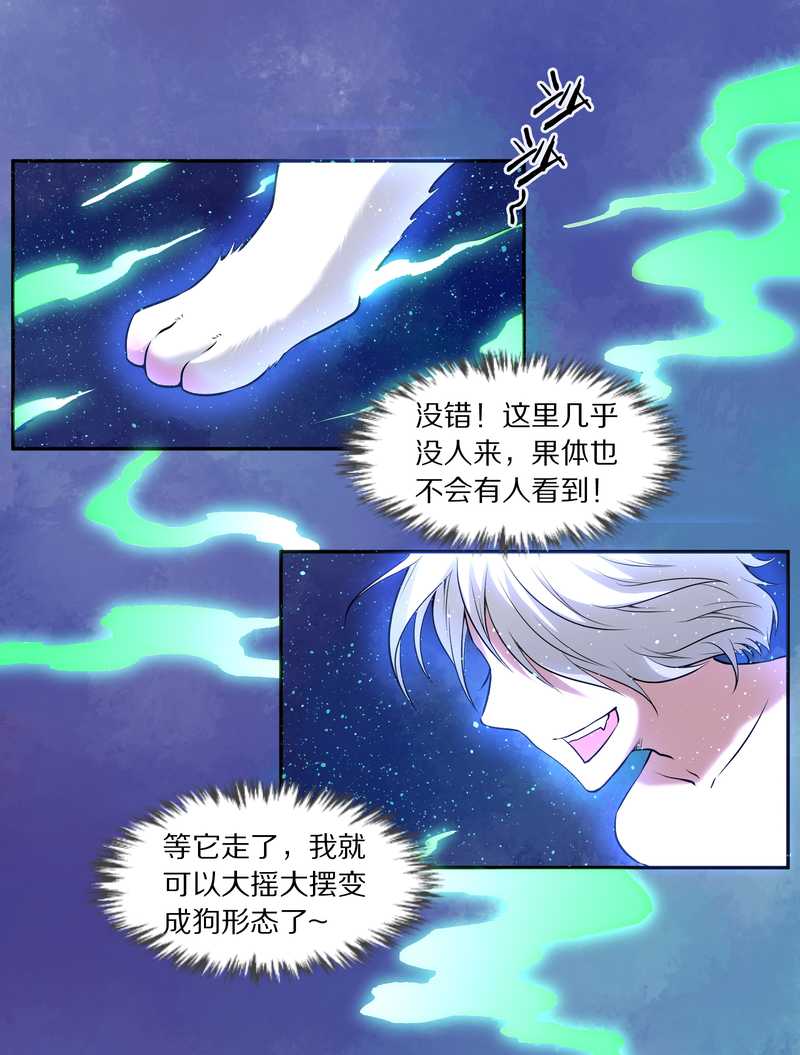 毛球星传说 第84集(1/2)-第84话