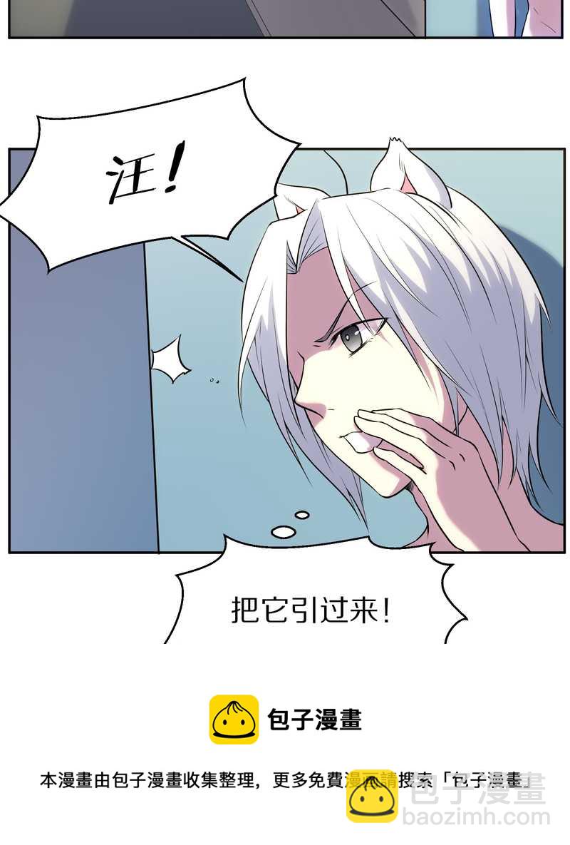 毛球星传说 第84集(1/2)-第84话