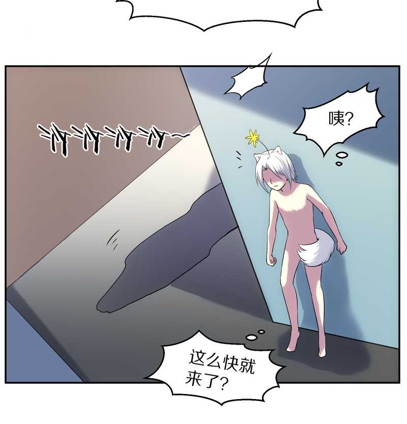 毛球星传说 第84集(1/2)-第84话