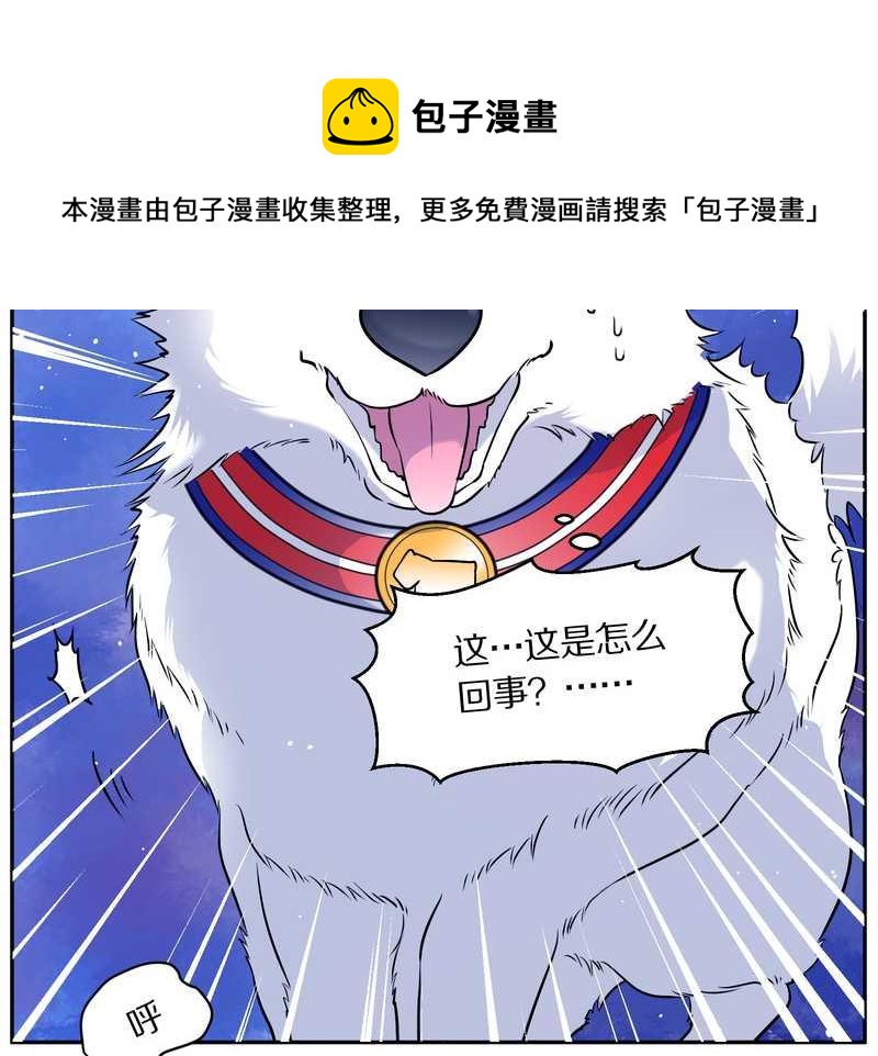毛球星传说 第84集(1/2)-第84话