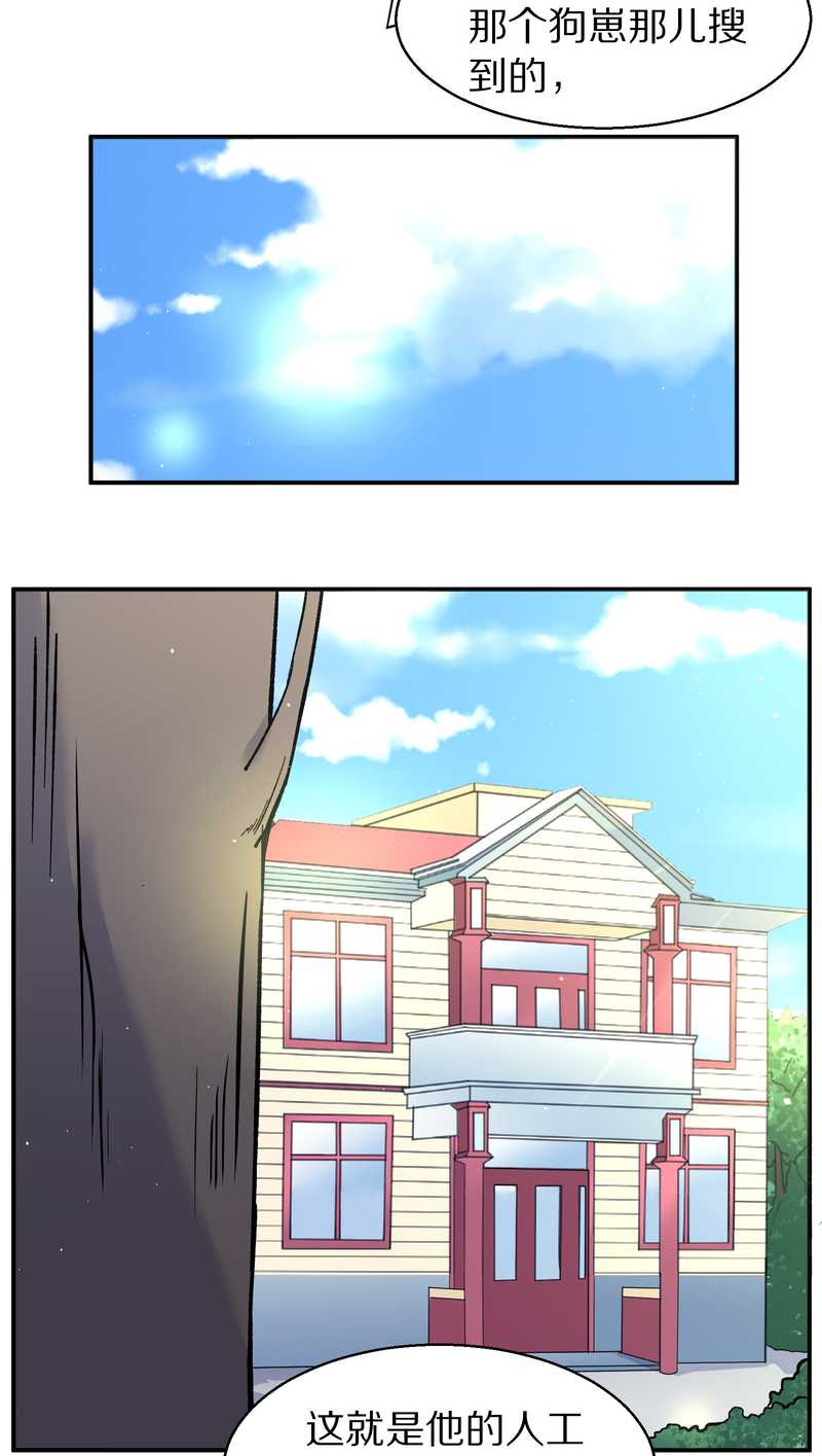 毛球星传说 第86集(1/2)-第86话