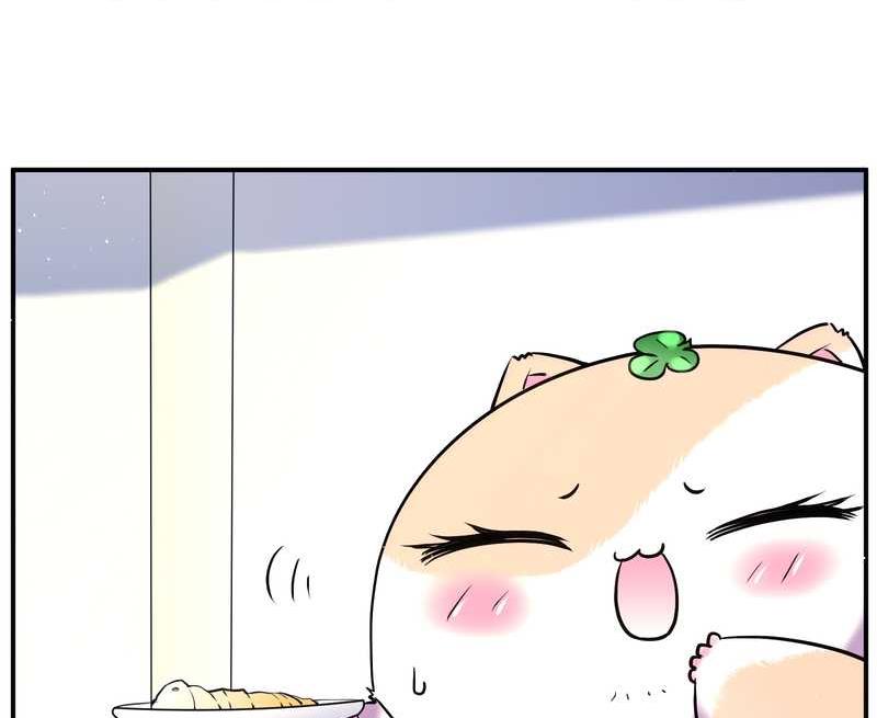 毛球星传说 第88集(1/2)-第88话