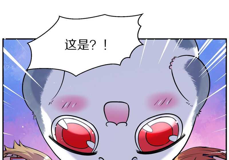 毛球星传说 第88集(1/2)-第88话
