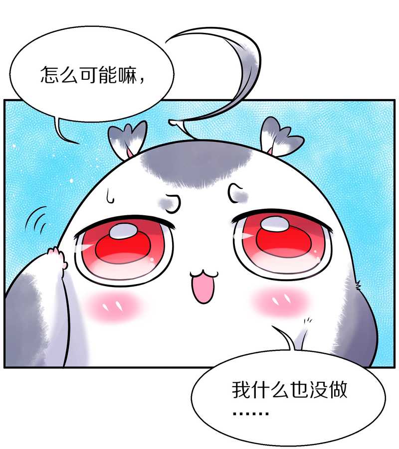 毛球星传说 第88集(1/2)-第88话