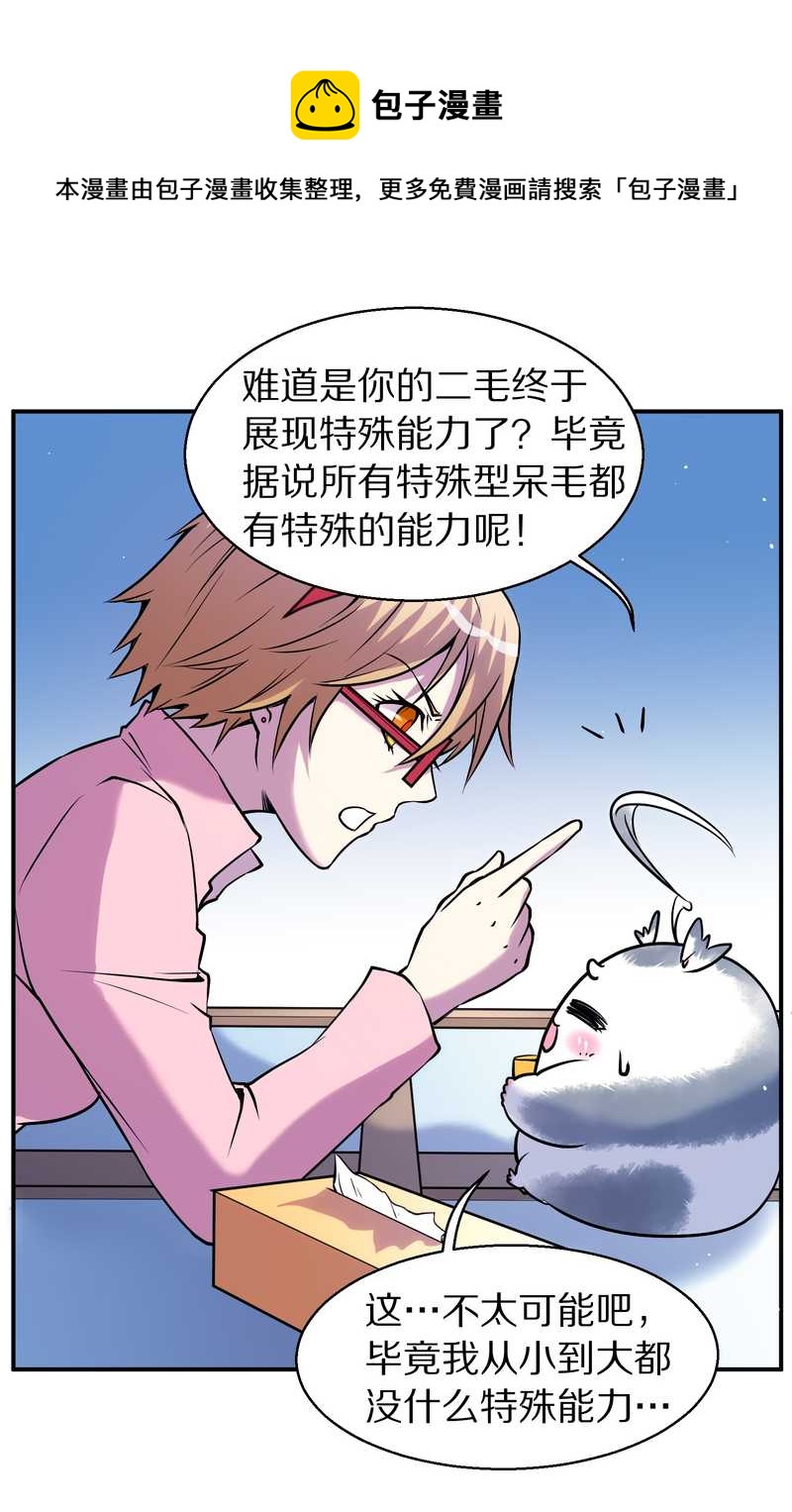 毛球星传说 第88集(1/2)-第88话