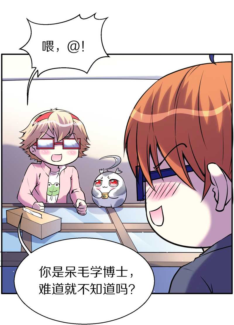 毛球星传说 第88集(1/2)-第88话