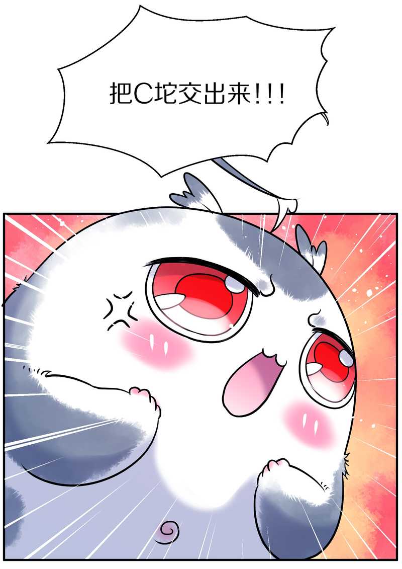 毛球星传说 第88集(1/2)-第88话
