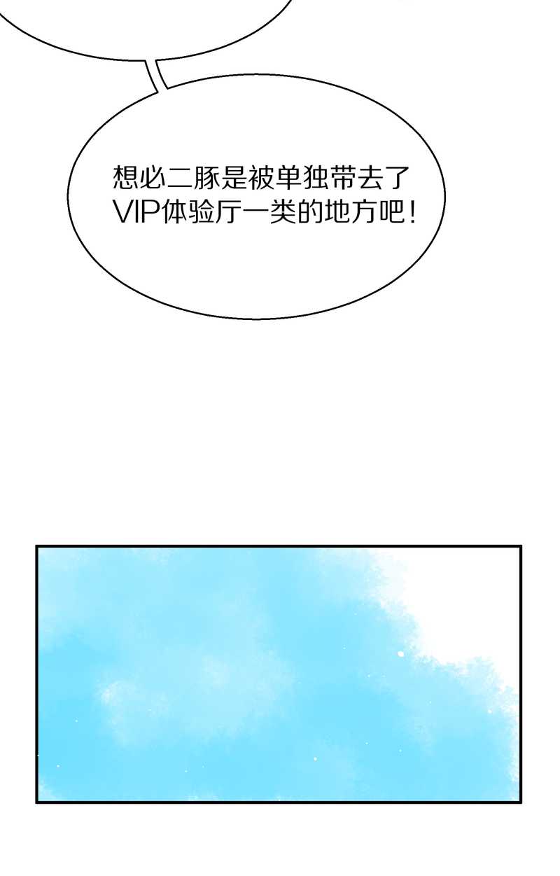 毛球星传说 第90集(1/2)-第90话