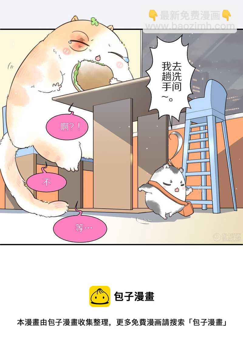 毛球星传说 第10集-第10话