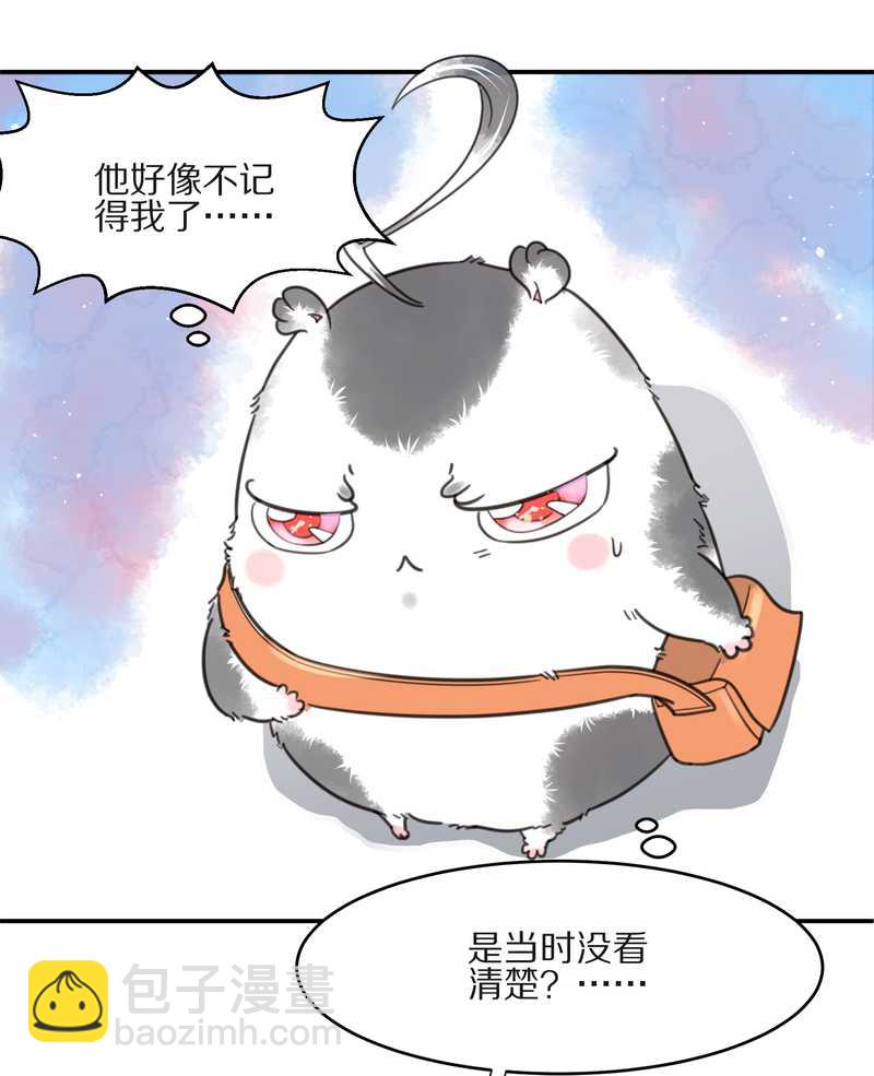 毛球星传说 第10集-第10话