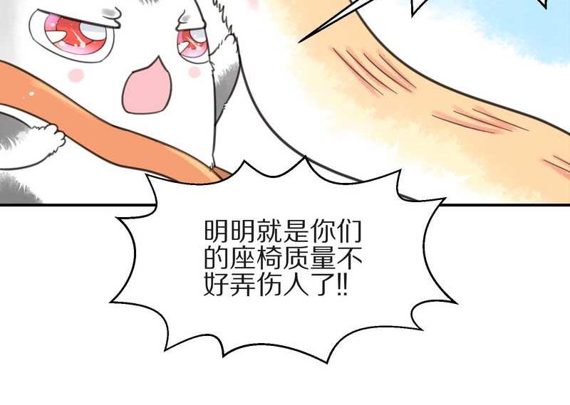 毛球星传说 第10集-第10话