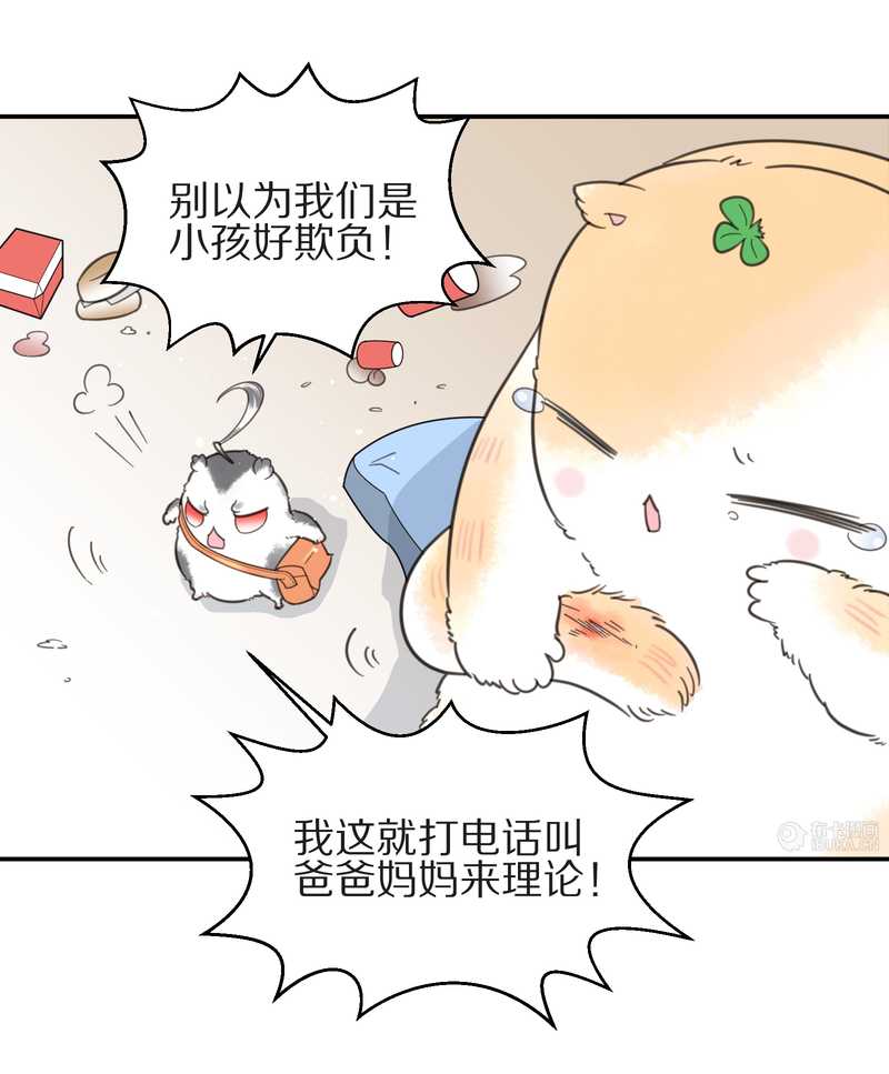 毛球星传说 第10集-第10话