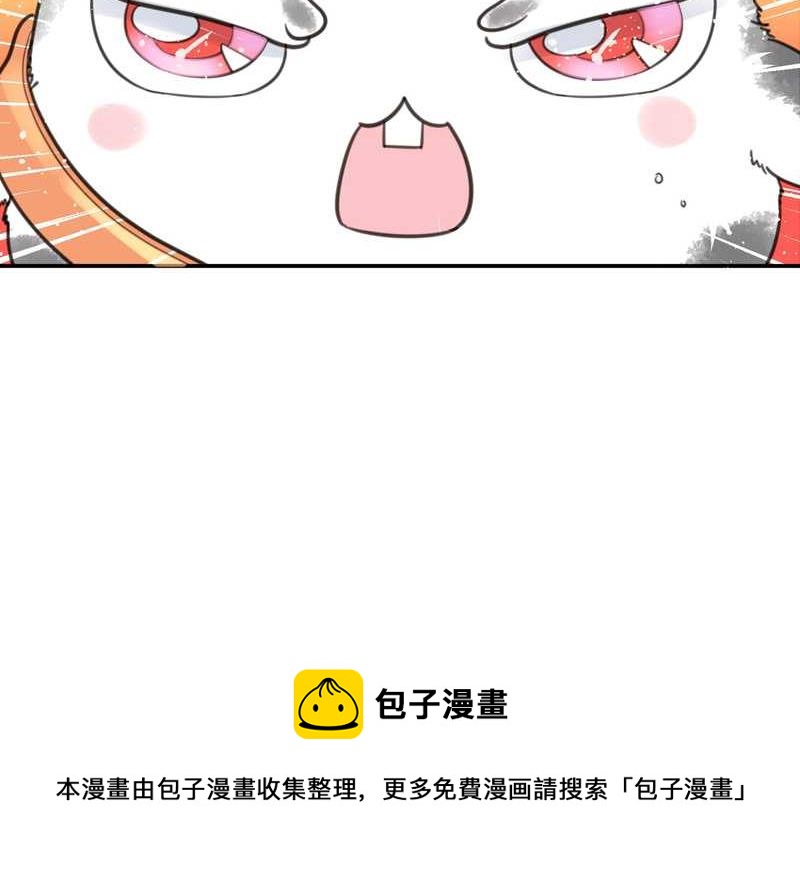 毛球星传说 第10集-第10话