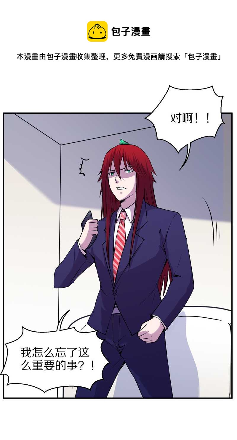 毛球星传说 第94集(1/3)-第94话