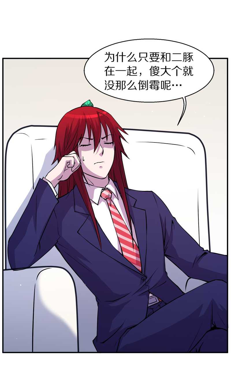 毛球星传说 第94集(1/3)-第94话