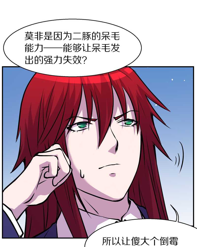 毛球星传说 第94集(1/3)-第94话