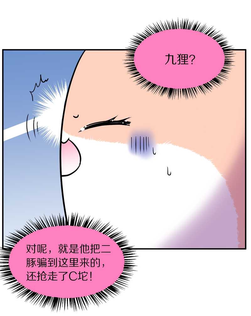 毛球星传说 第94集(1/3)-第94话