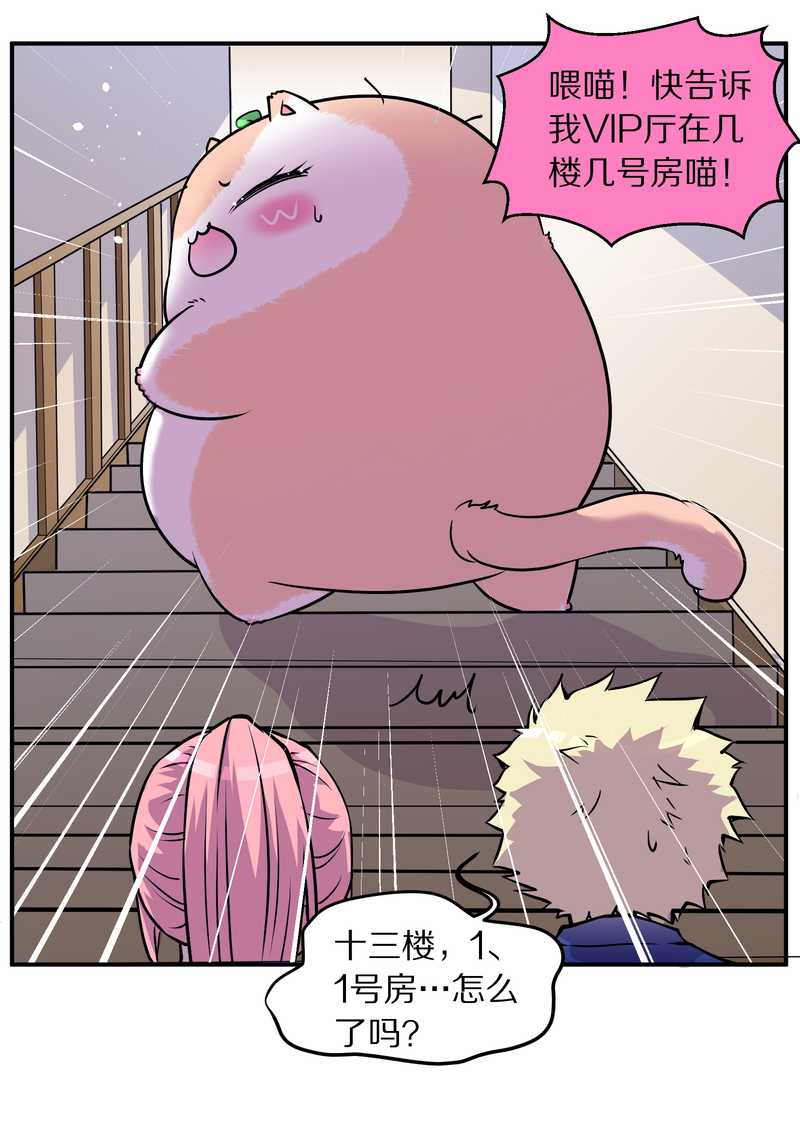 毛球星传说 第94集(1/3)-第94话