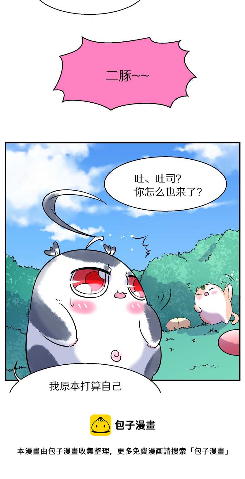 毛球星传说 第96集(1/3)-第96话