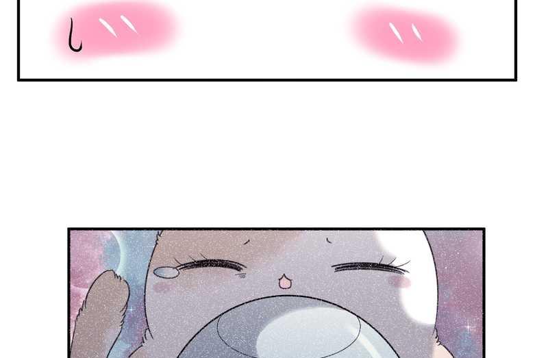 毛球星传说 第96集(1/3)-第96话