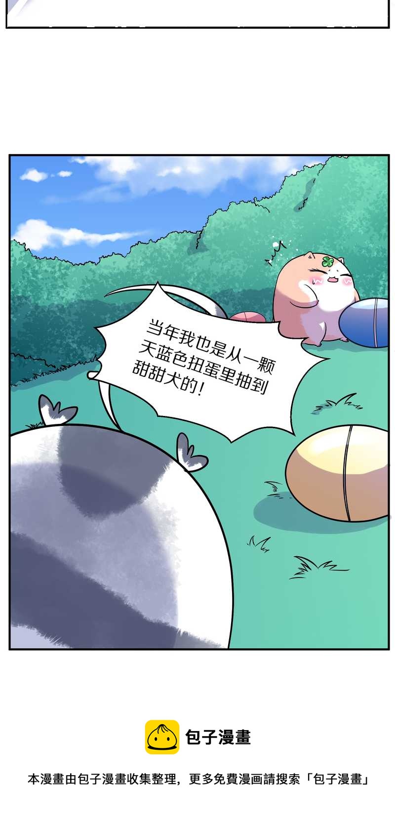 毛球星传说 第96集(1/3)-第96话