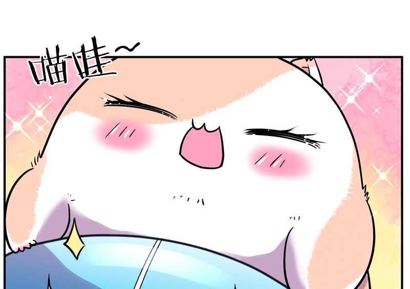 毛球星传说 第96集(1/3)-第96话