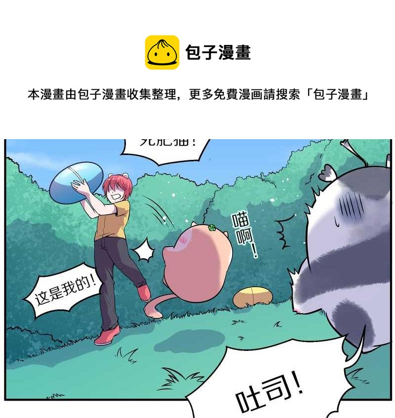 毛球星传说 第96集(1/3)-第96话