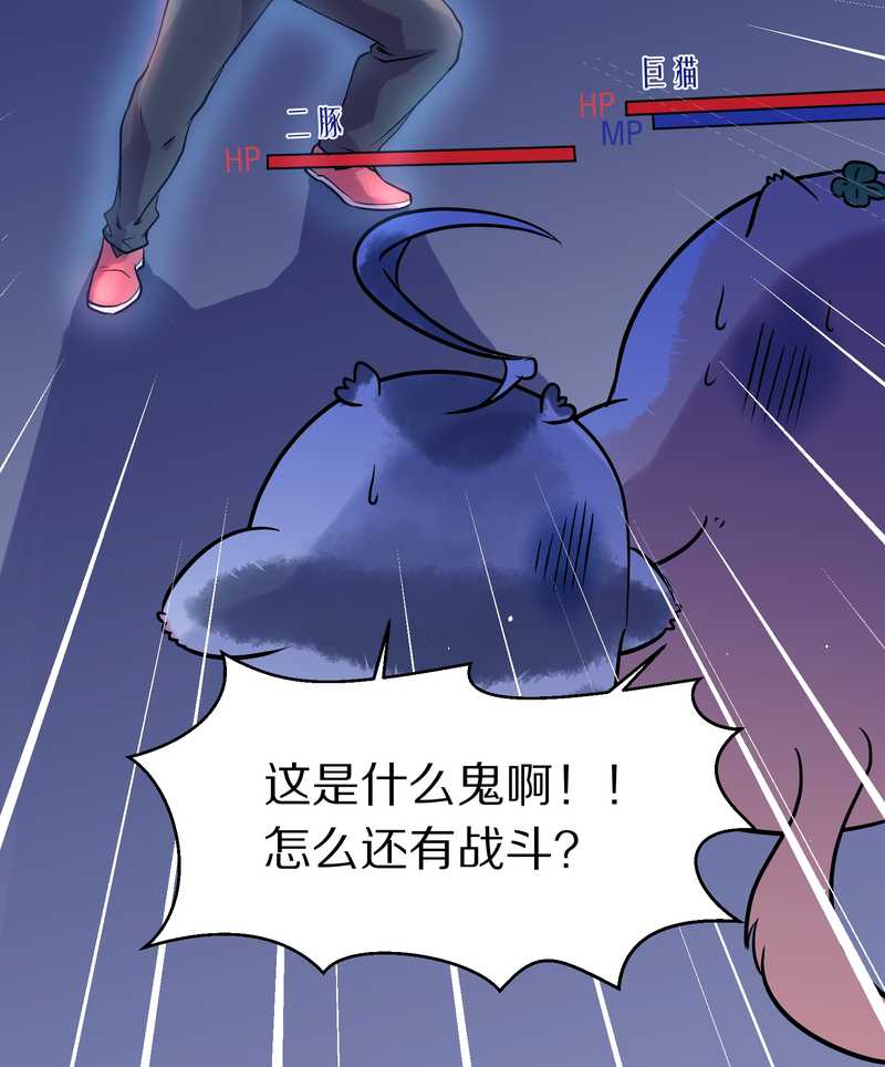 毛球星传说 第96集(1/3)-第96话