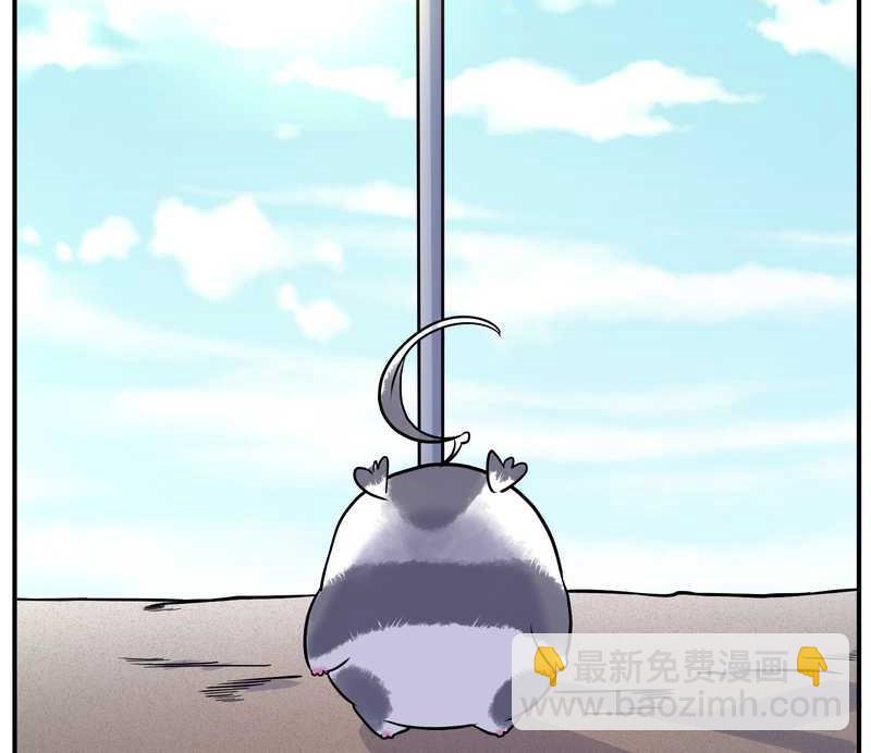 毛球星传说 第96集(1/3)-第96话