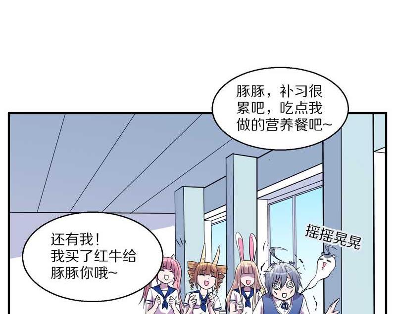 毛球星传说 第98集(1/3)-第98话
