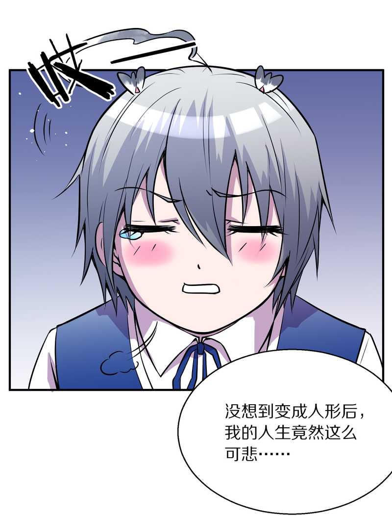 毛球星传说 第98集(1/3)-第98话