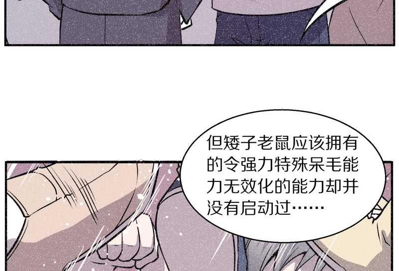毛球星传说 第100集(1/3)-第100话