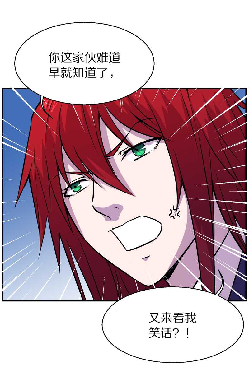 毛球星传说 第100集(1/3)-第100话