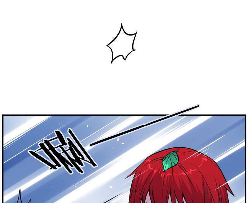毛球星传说 第100集(1/3)-第100话