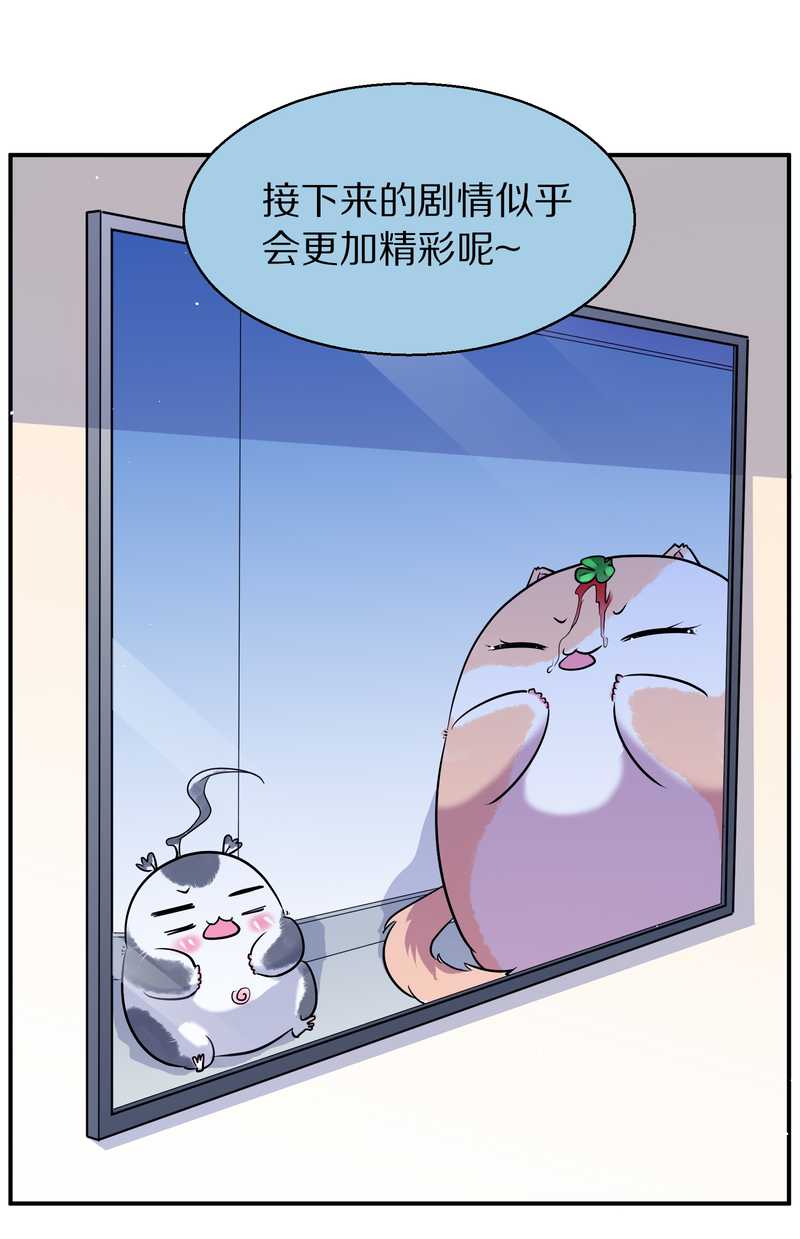 毛球星传说 第100集(1/3)-第100话