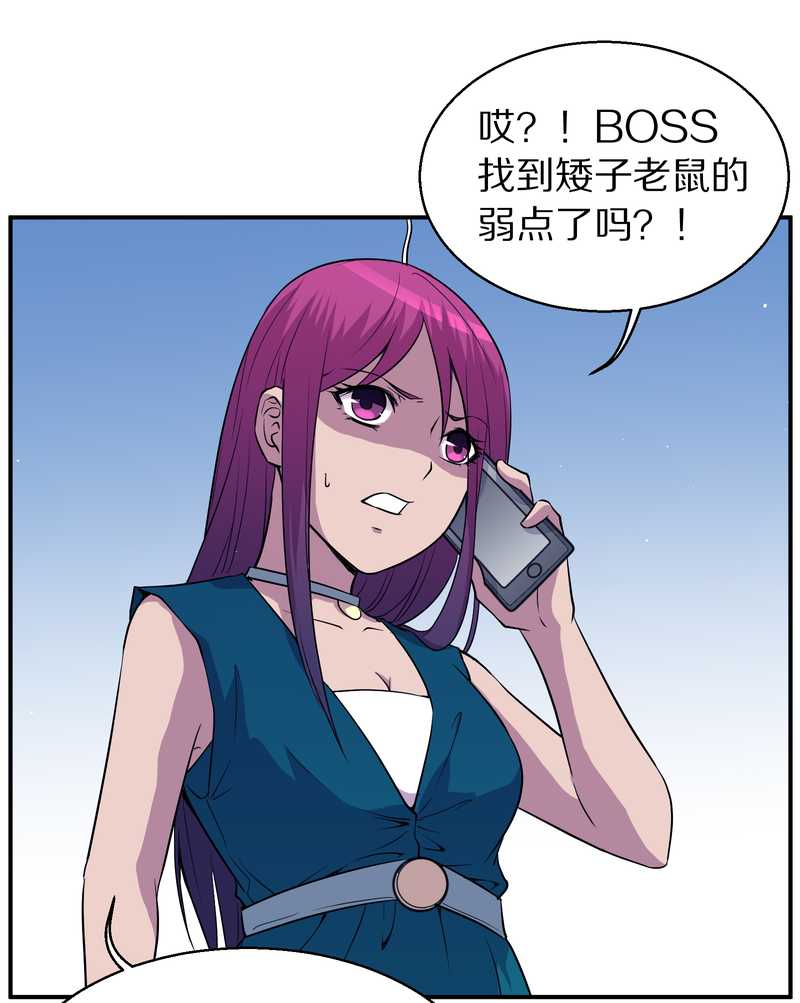 毛球星传说 第100集(1/3)-第100话