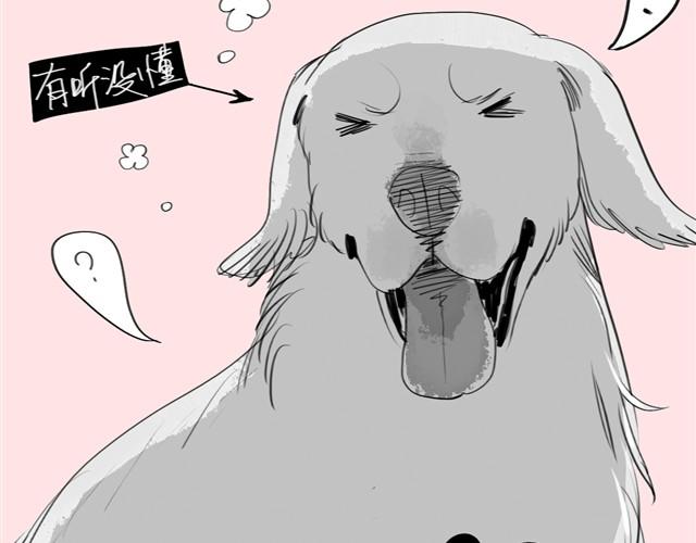 第22话 再见了哦阿汪-第22话