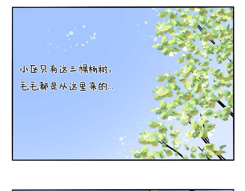 第10话 毛毛来袭-第10话