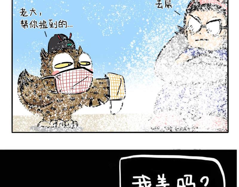 第10话 毛毛来袭-第10话