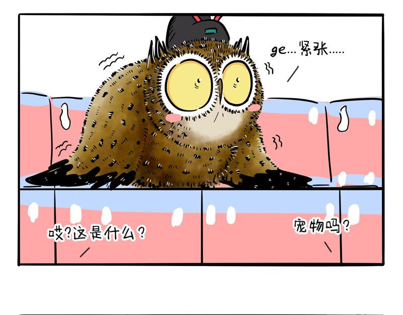 第18话 歪大的抽盲盒技巧-第18话