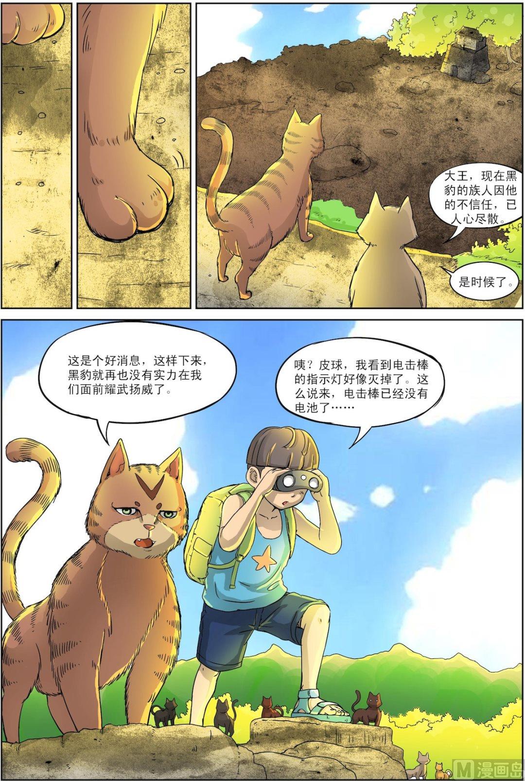 🍟猫侠 第5话 中 第3页