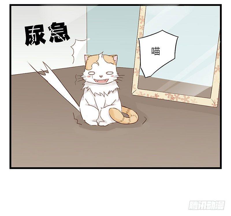 第十六话 我是猫了？-第16话