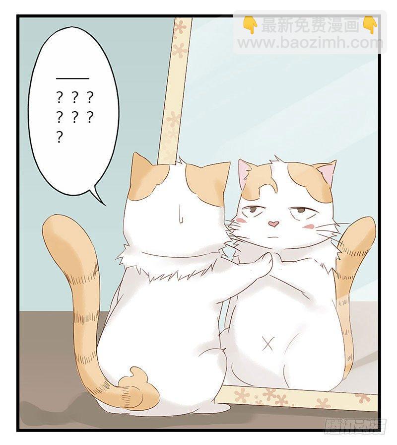 第十六话 我是猫了？-第16话